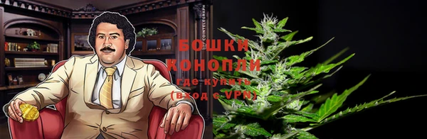 ПСИЛОЦИБИНОВЫЕ ГРИБЫ Белоозёрский