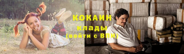 ПСИЛОЦИБИНОВЫЕ ГРИБЫ Белоозёрский
