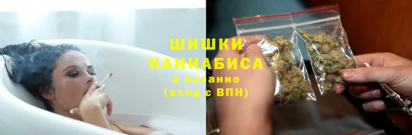 ПСИЛОЦИБИНОВЫЕ ГРИБЫ Белоозёрский