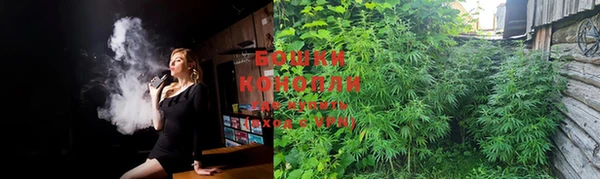 ПСИЛОЦИБИНОВЫЕ ГРИБЫ Белоозёрский